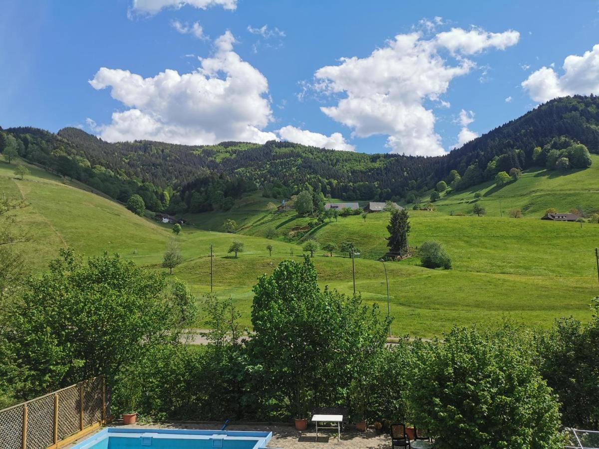 Ferienwohnung Vogelsang Im Schwarzwald 뮌스테르탈 외부 사진