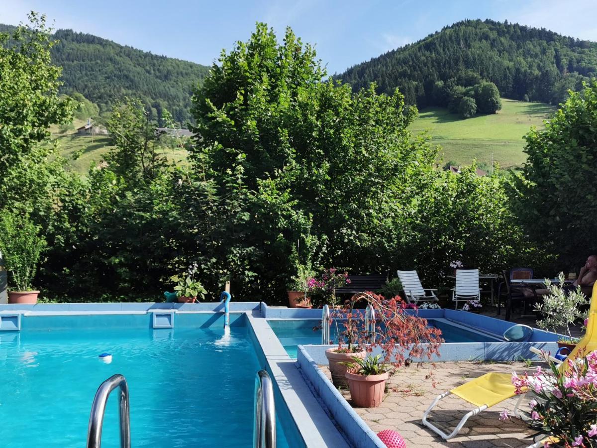 Ferienwohnung Vogelsang Im Schwarzwald 뮌스테르탈 외부 사진