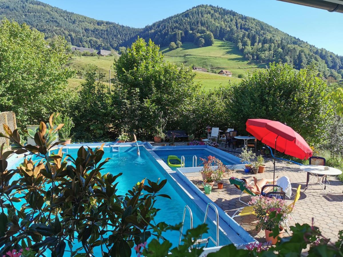 Ferienwohnung Vogelsang Im Schwarzwald 뮌스테르탈 외부 사진