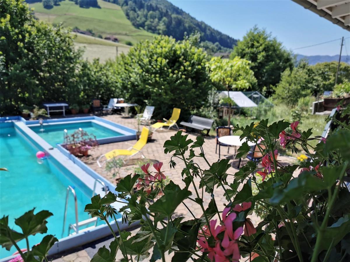Ferienwohnung Vogelsang Im Schwarzwald 뮌스테르탈 외부 사진