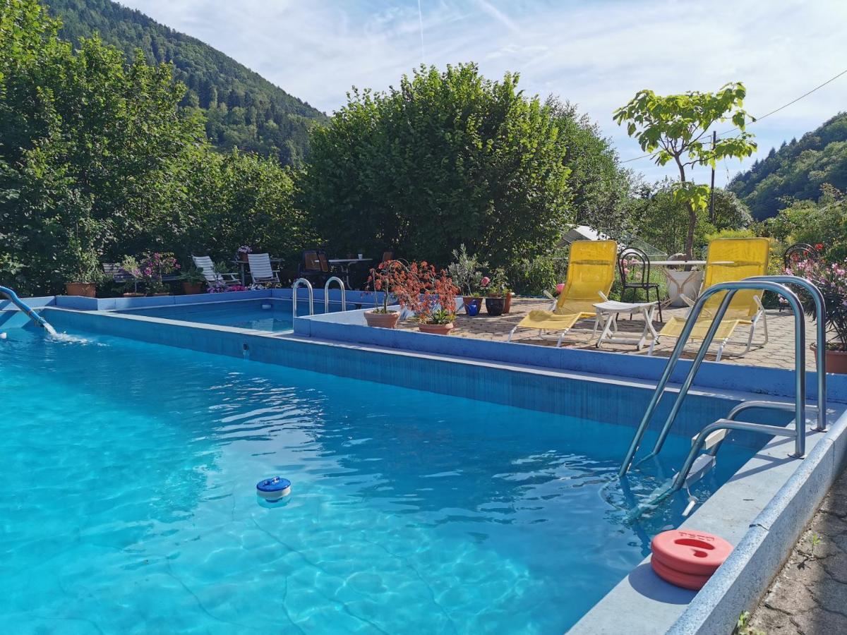 Ferienwohnung Vogelsang Im Schwarzwald 뮌스테르탈 외부 사진