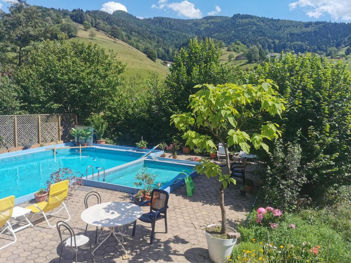 Ferienwohnung Vogelsang Im Schwarzwald 뮌스테르탈 외부 사진