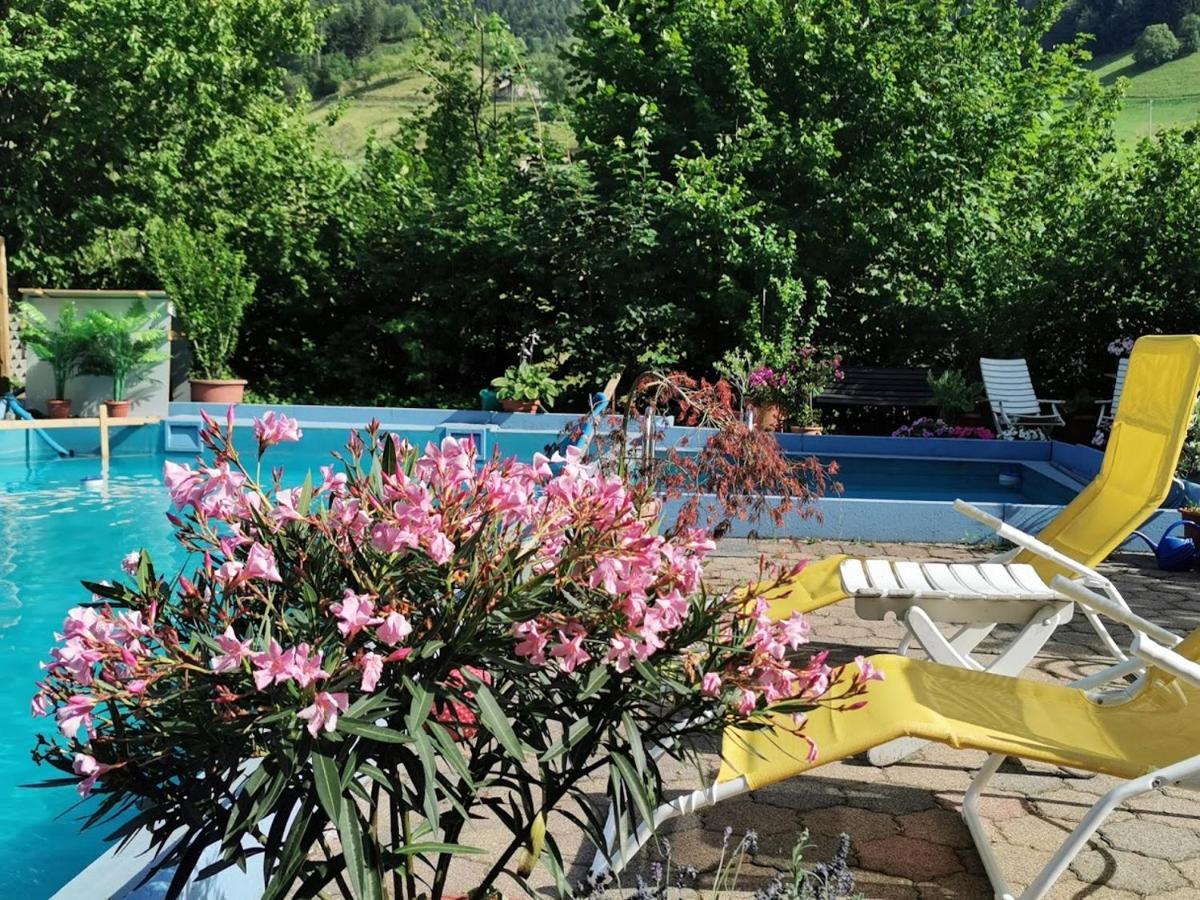 Ferienwohnung Vogelsang Im Schwarzwald 뮌스테르탈 외부 사진