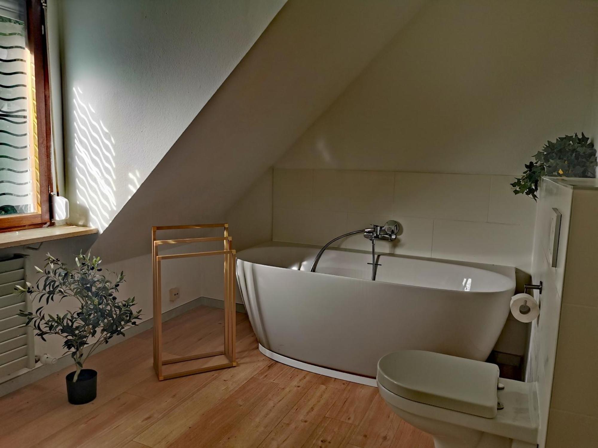Ferienwohnung Vogelsang Im Schwarzwald 뮌스테르탈 외부 사진