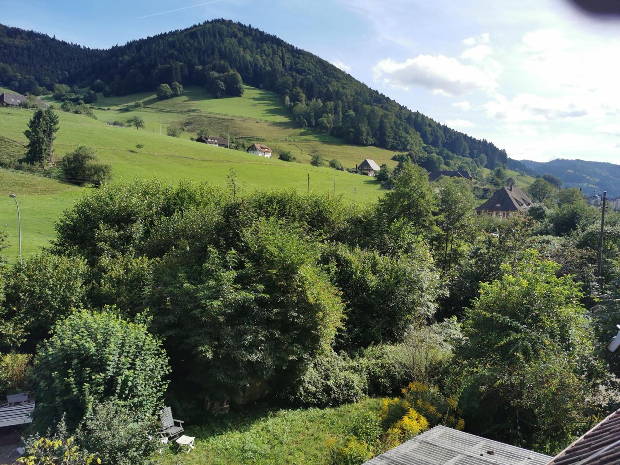 Ferienwohnung Vogelsang Im Schwarzwald 뮌스테르탈 외부 사진